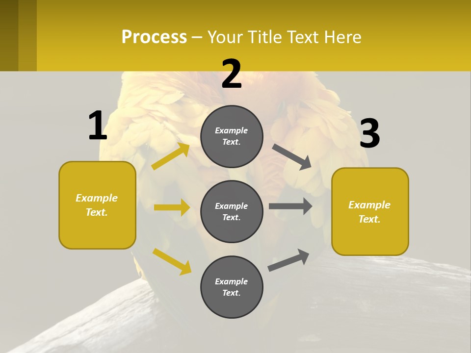 Two Yellow And Green Birds Sitting On Top Of A Tree Branch PowerPoint Template