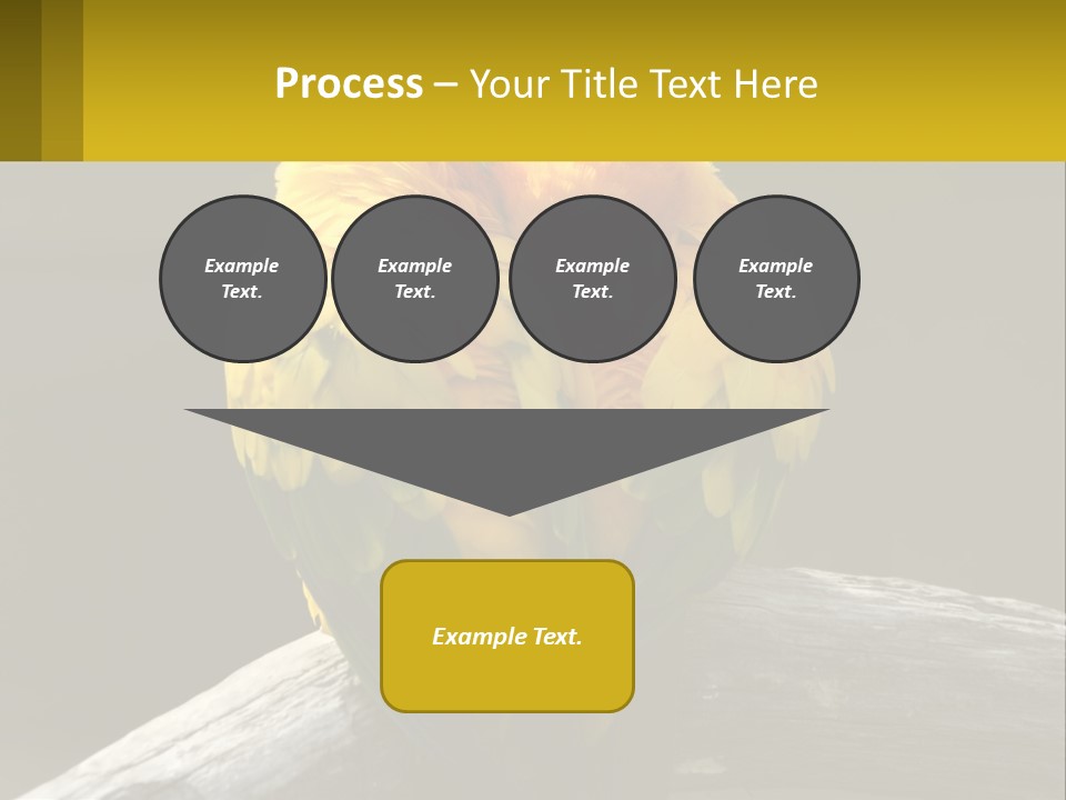 Two Yellow And Green Birds Sitting On Top Of A Tree Branch PowerPoint Template