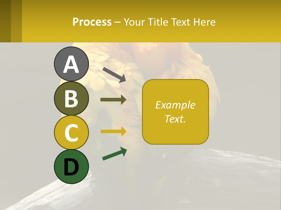 Two Yellow And Green Birds Sitting On Top Of A Tree Branch PowerPoint Template