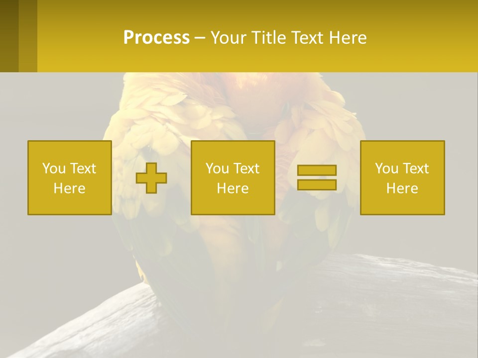 Two Yellow And Green Birds Sitting On Top Of A Tree Branch PowerPoint Template