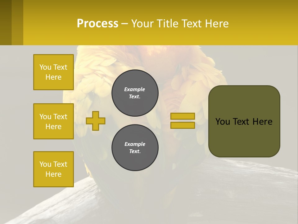 Two Yellow And Green Birds Sitting On Top Of A Tree Branch PowerPoint Template