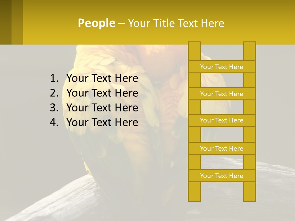 Two Yellow And Green Birds Sitting On Top Of A Tree Branch PowerPoint Template