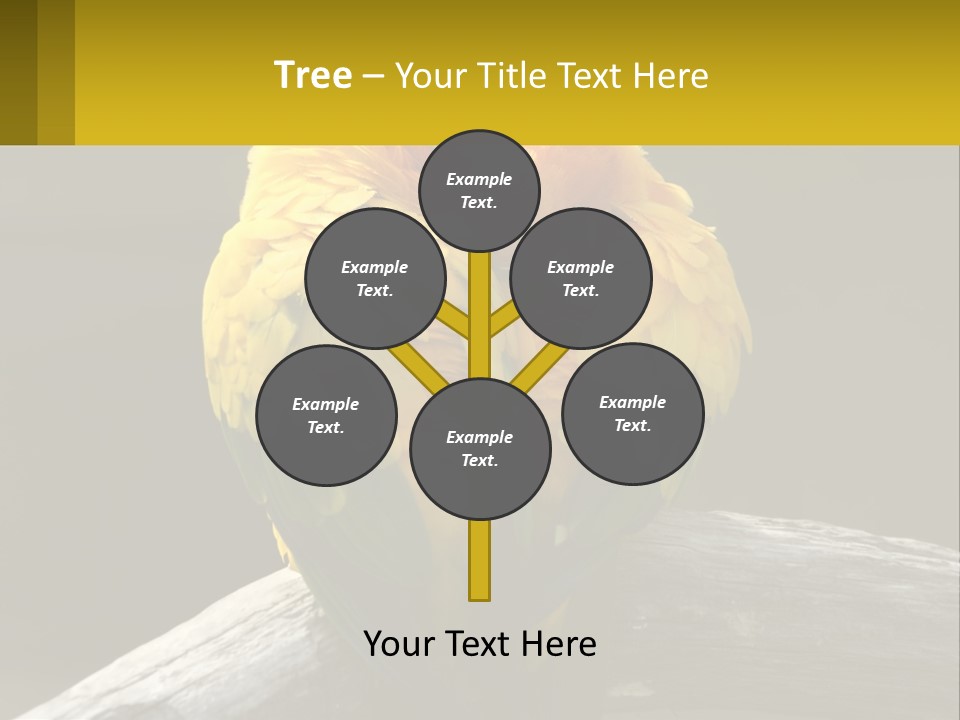 Two Yellow And Green Birds Sitting On Top Of A Tree Branch PowerPoint Template