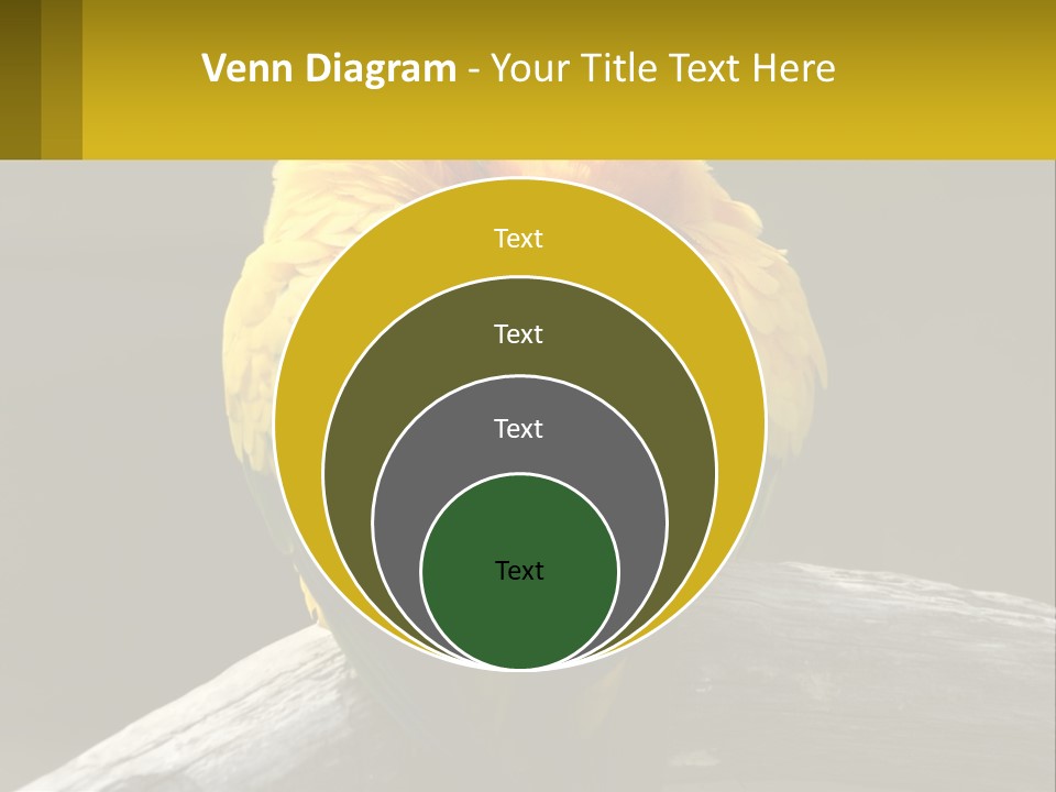 Two Yellow And Green Birds Sitting On Top Of A Tree Branch PowerPoint Template