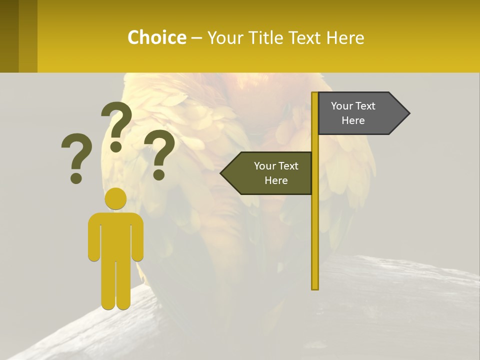 Two Yellow And Green Birds Sitting On Top Of A Tree Branch PowerPoint Template