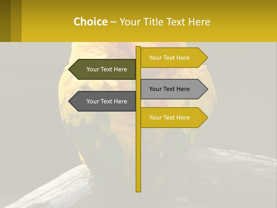 Two Yellow And Green Birds Sitting On Top Of A Tree Branch PowerPoint Template