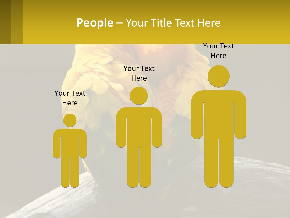 Two Yellow And Green Birds Sitting On Top Of A Tree Branch PowerPoint Template