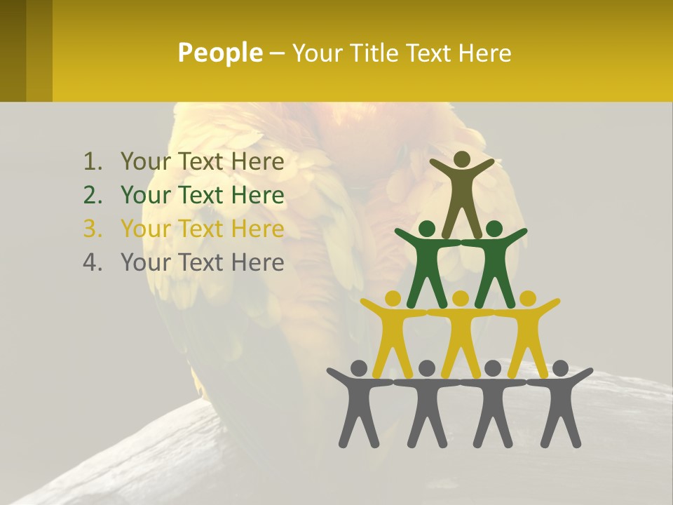 Two Yellow And Green Birds Sitting On Top Of A Tree Branch PowerPoint Template