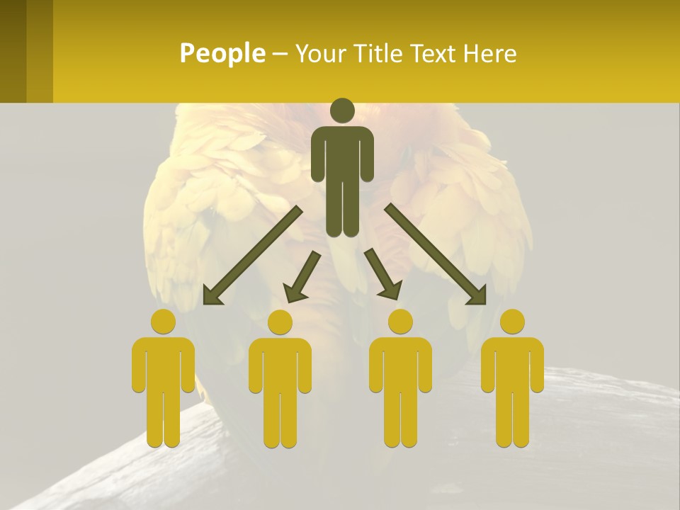 Two Yellow And Green Birds Sitting On Top Of A Tree Branch PowerPoint Template