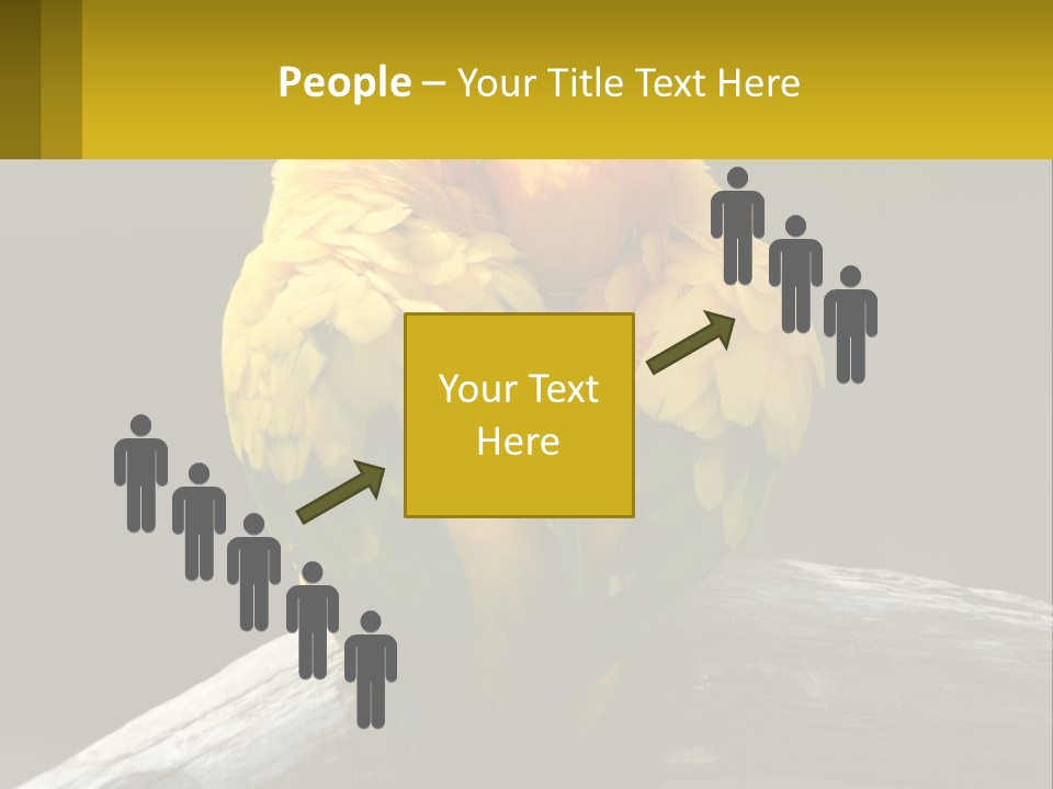 Two Yellow And Green Birds Sitting On Top Of A Tree Branch PowerPoint Template