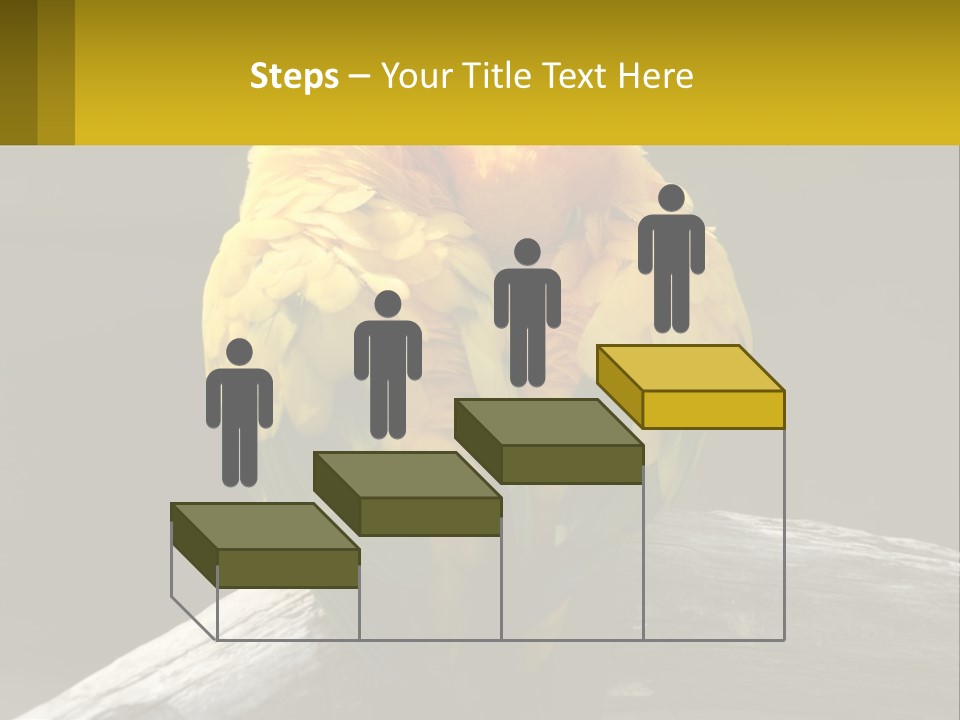 Two Yellow And Green Birds Sitting On Top Of A Tree Branch PowerPoint Template