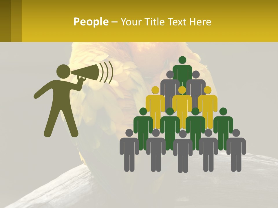 Two Yellow And Green Birds Sitting On Top Of A Tree Branch PowerPoint Template