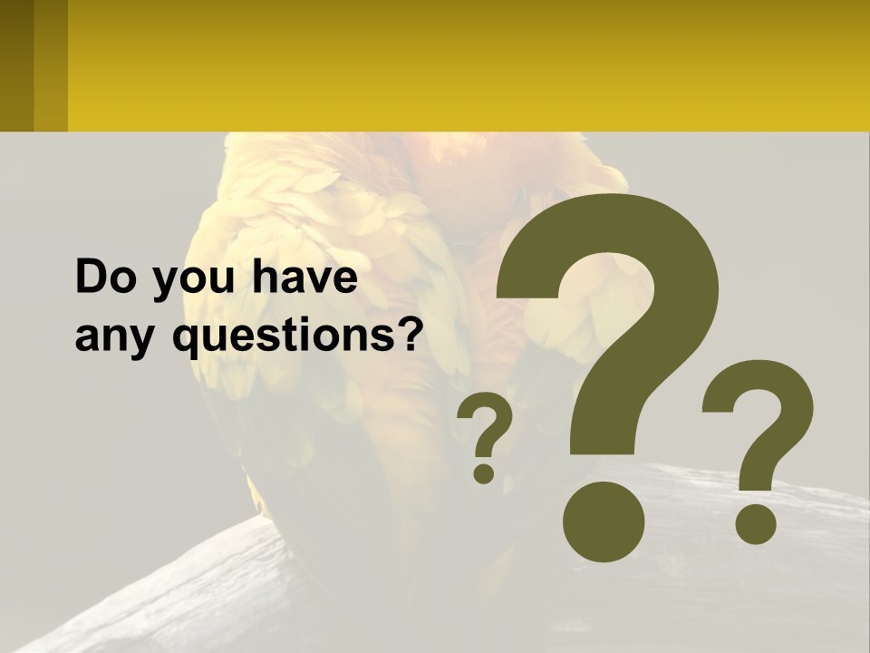 Two Yellow And Green Birds Sitting On Top Of A Tree Branch PowerPoint Template