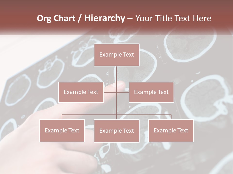 A Person Pointing At A Presentation On A Screen PowerPoint Template
