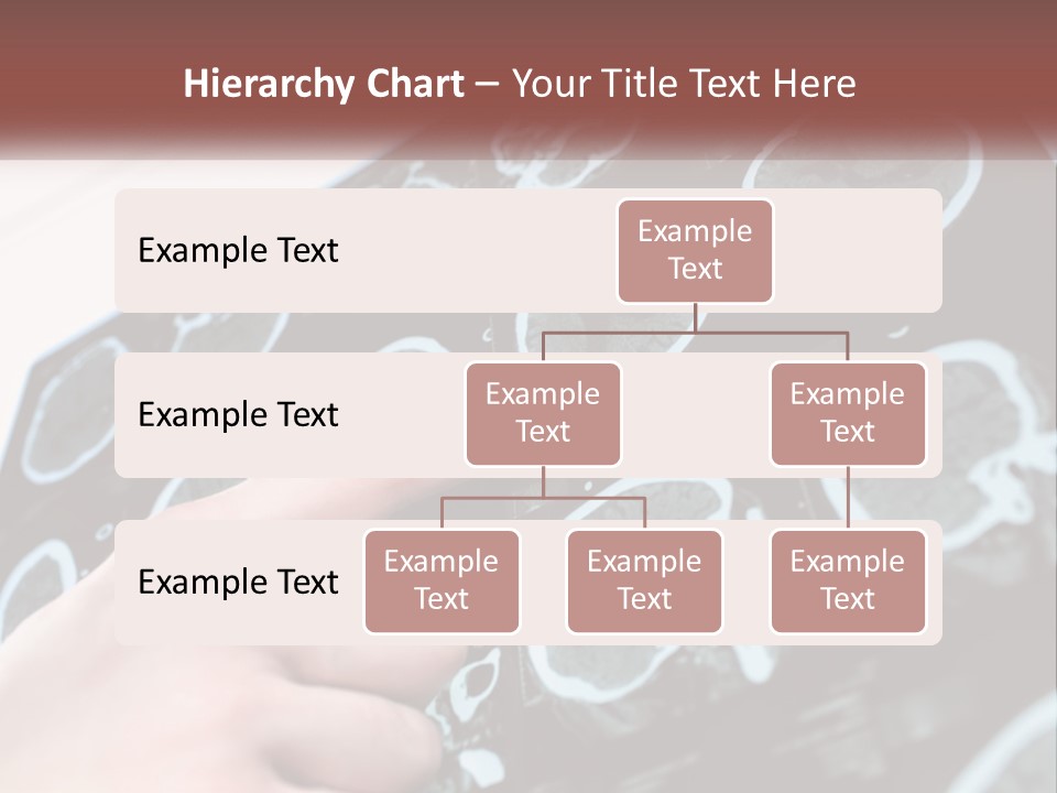 A Person Pointing At A Presentation On A Screen PowerPoint Template