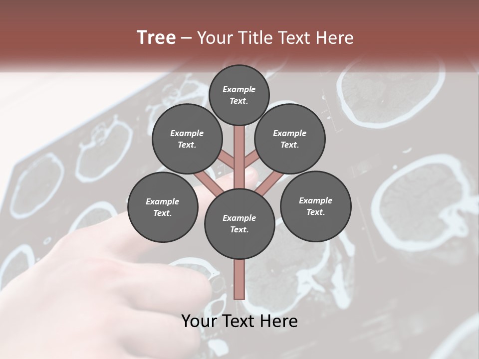 A Person Pointing At A Presentation On A Screen PowerPoint Template