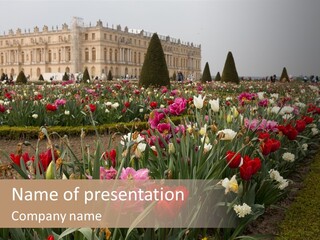 A Field Of Flowers With A Building In The Background PowerPoint Template