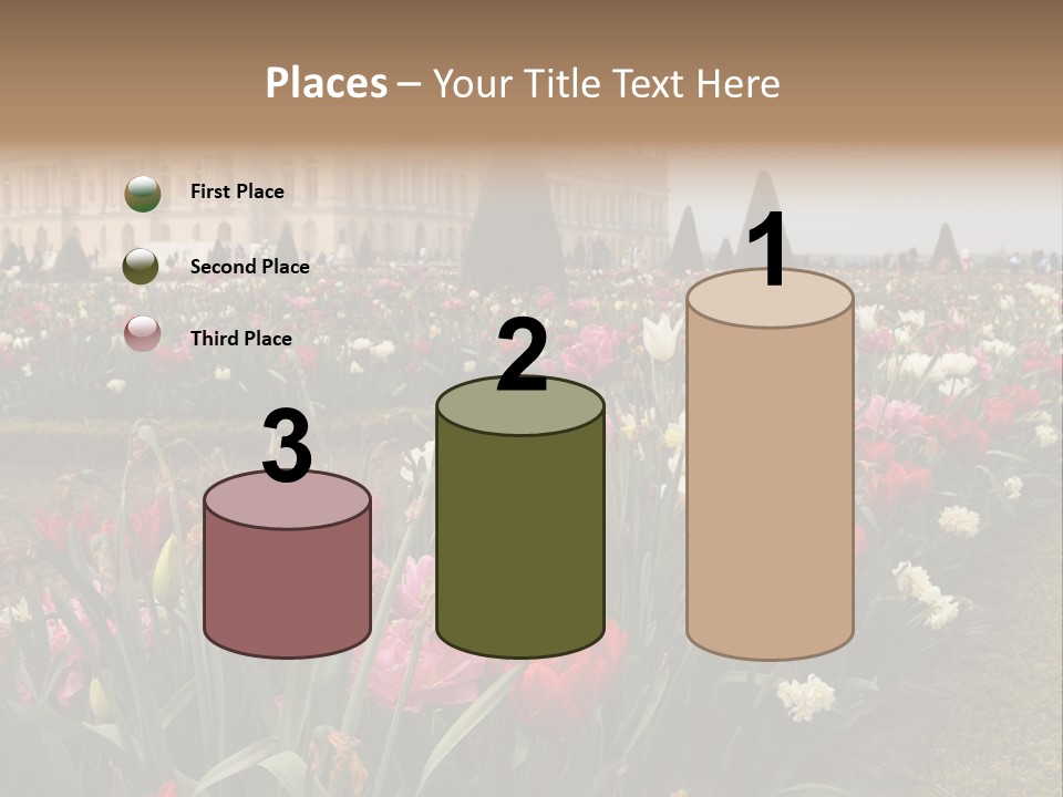A Field Of Flowers With A Building In The Background PowerPoint Template