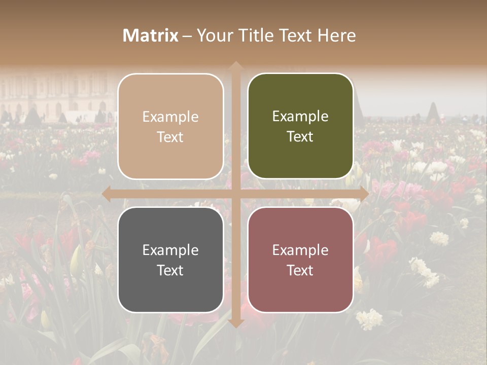 A Field Of Flowers With A Building In The Background PowerPoint Template