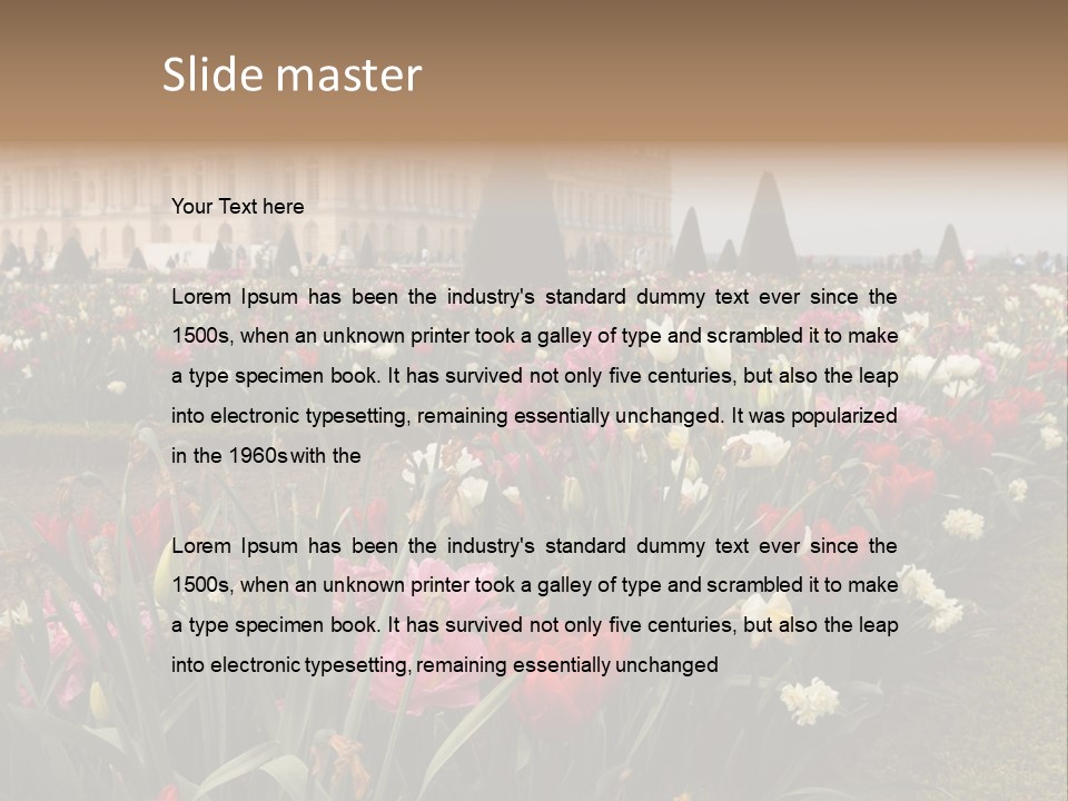 A Field Of Flowers With A Building In The Background PowerPoint Template