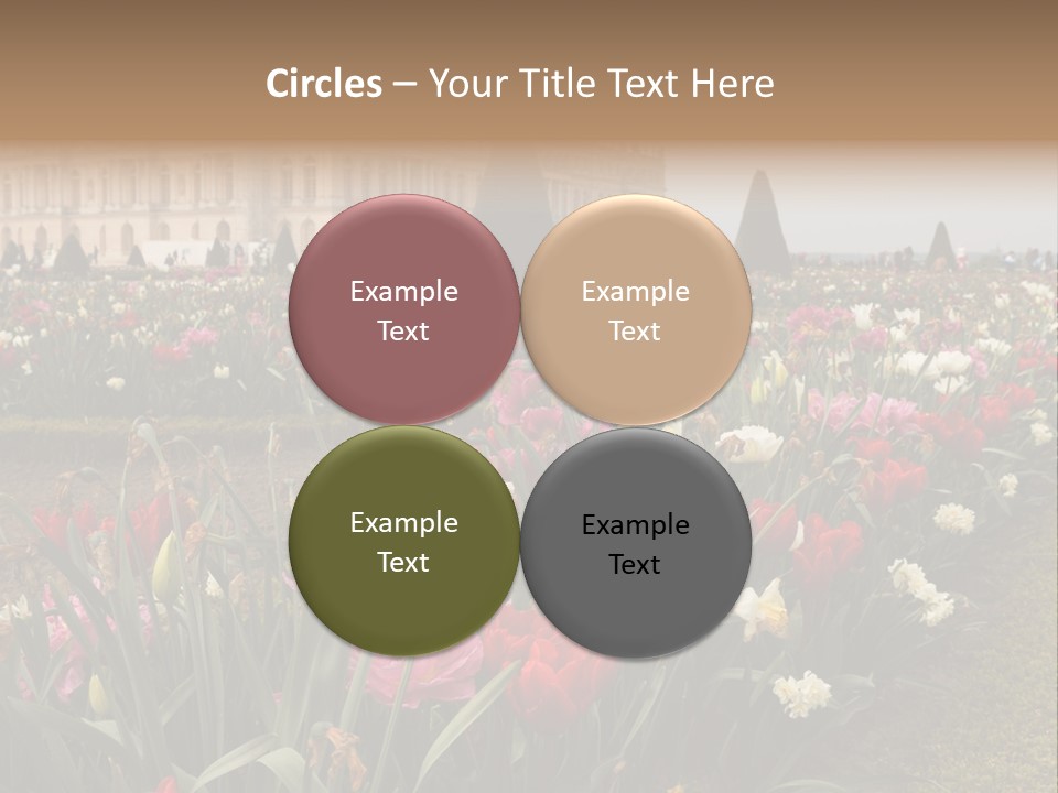 A Field Of Flowers With A Building In The Background PowerPoint Template