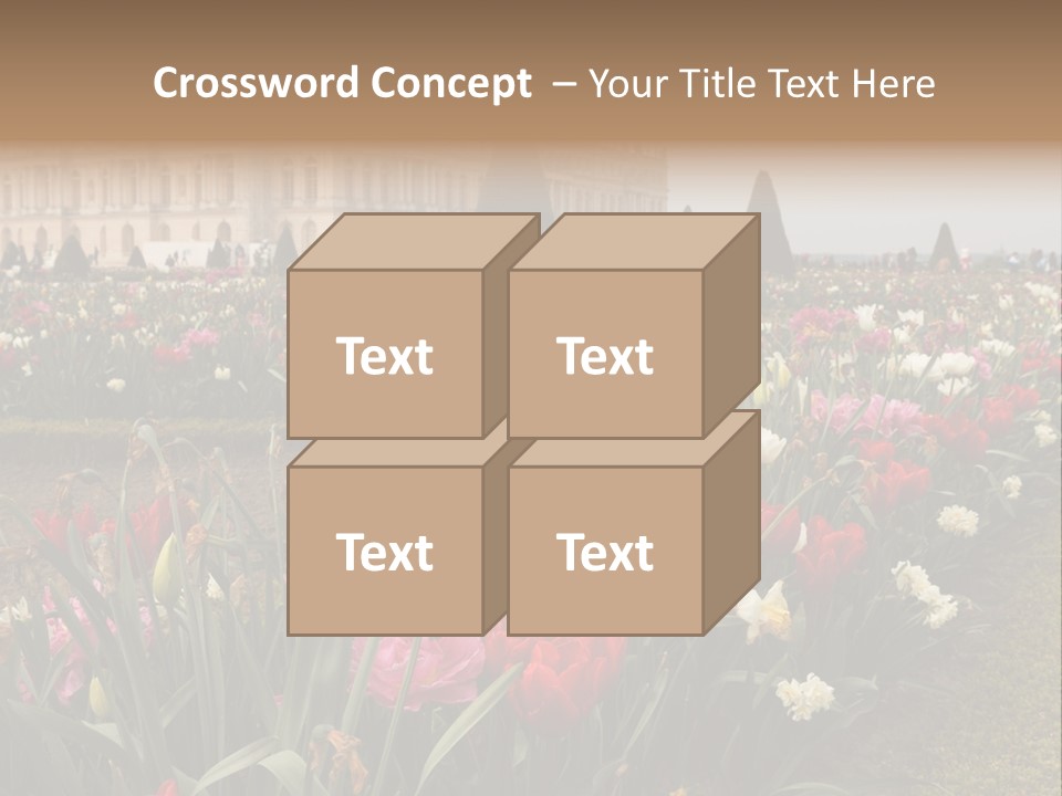 A Field Of Flowers With A Building In The Background PowerPoint Template