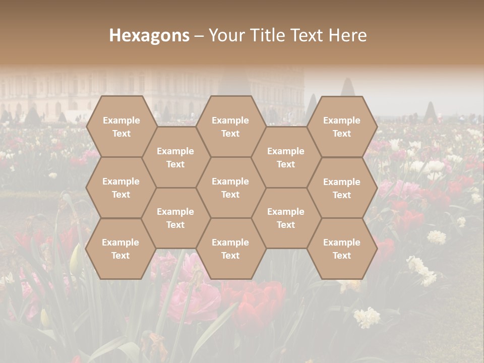 A Field Of Flowers With A Building In The Background PowerPoint Template