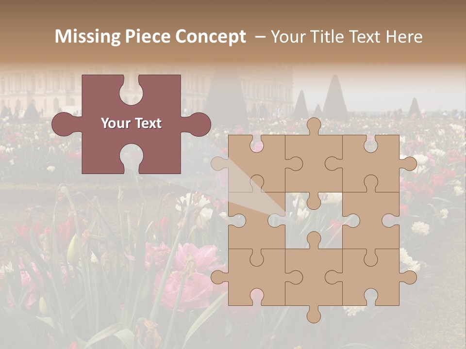 A Field Of Flowers With A Building In The Background PowerPoint Template