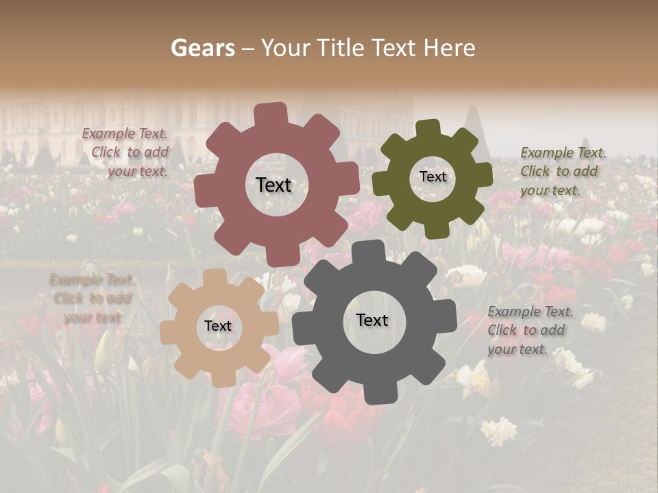 A Field Of Flowers With A Building In The Background PowerPoint Template