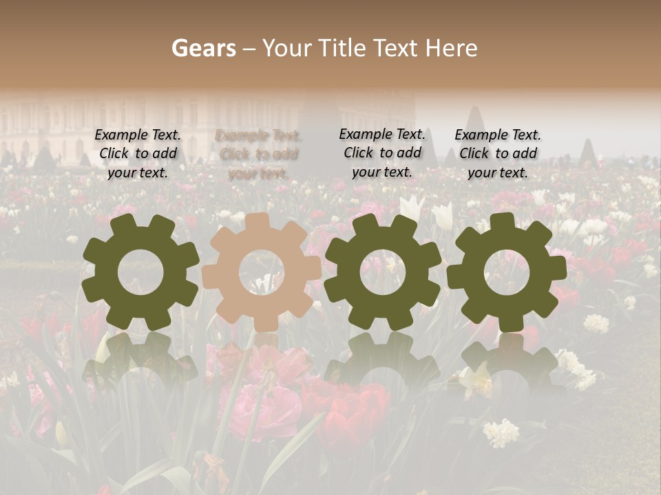 A Field Of Flowers With A Building In The Background PowerPoint Template