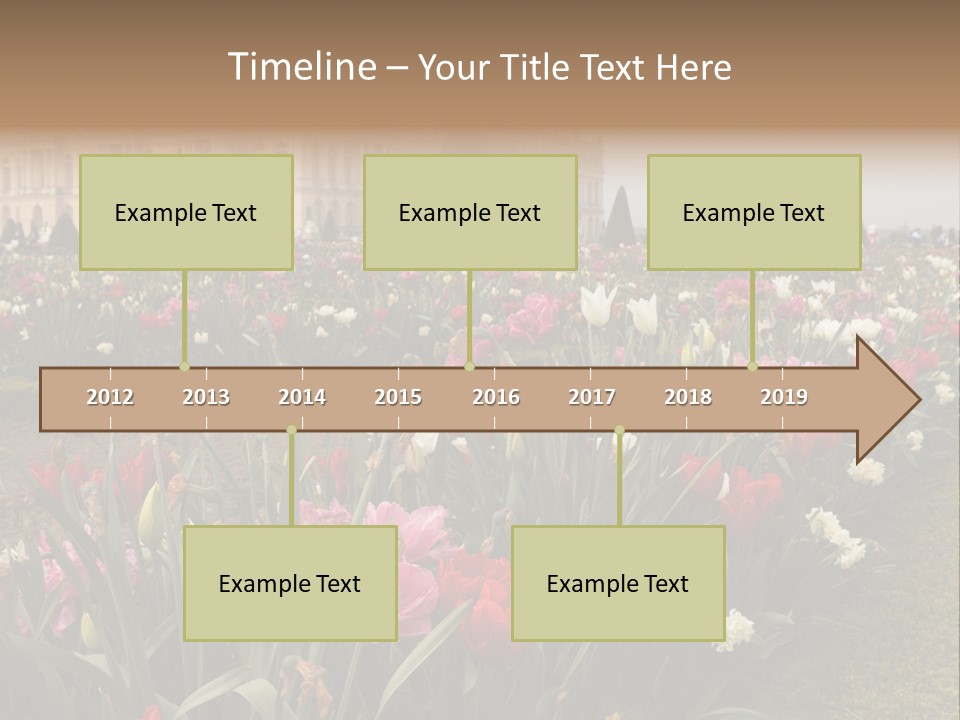 A Field Of Flowers With A Building In The Background PowerPoint Template