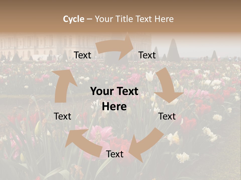 A Field Of Flowers With A Building In The Background PowerPoint Template