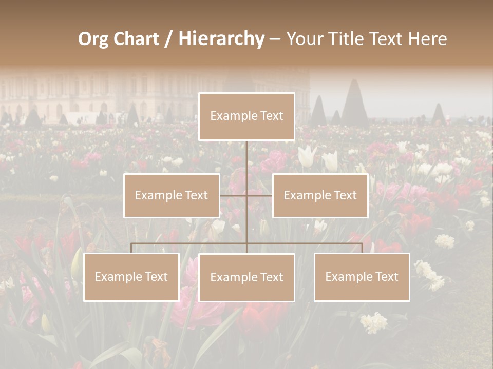 A Field Of Flowers With A Building In The Background PowerPoint Template