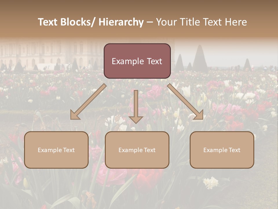 A Field Of Flowers With A Building In The Background PowerPoint Template