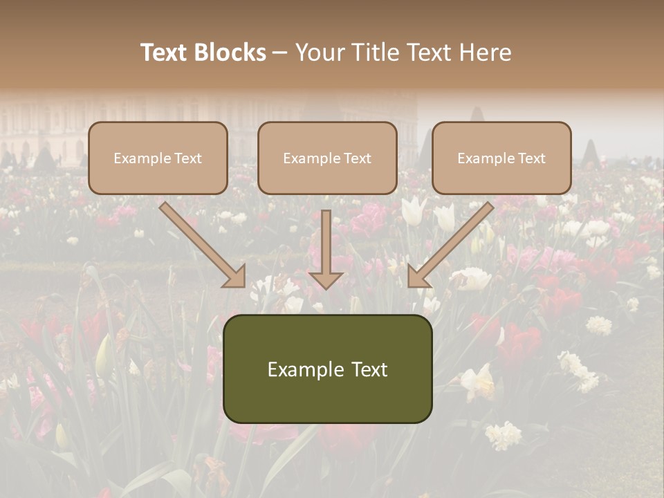 A Field Of Flowers With A Building In The Background PowerPoint Template