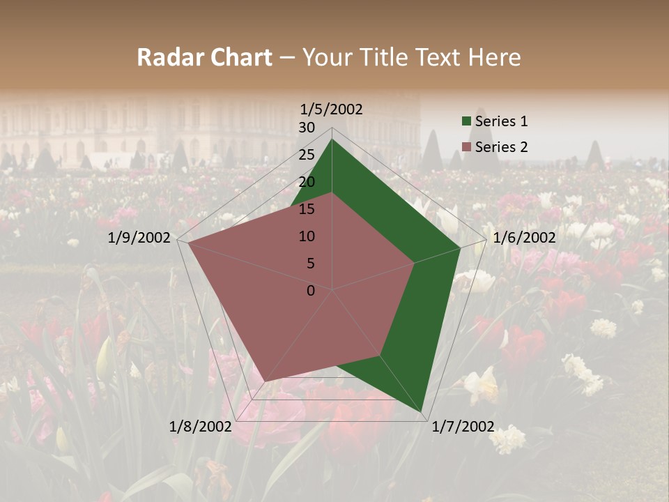 A Field Of Flowers With A Building In The Background PowerPoint Template