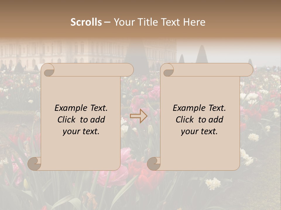 A Field Of Flowers With A Building In The Background PowerPoint Template
