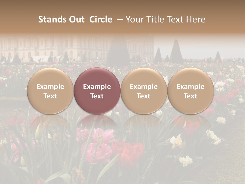 A Field Of Flowers With A Building In The Background PowerPoint Template