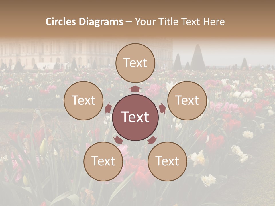 A Field Of Flowers With A Building In The Background PowerPoint Template