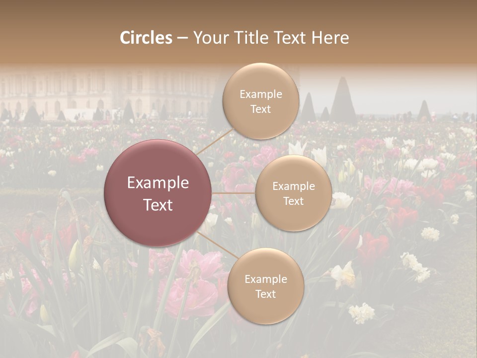 A Field Of Flowers With A Building In The Background PowerPoint Template