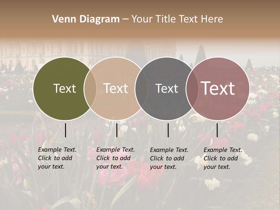 A Field Of Flowers With A Building In The Background PowerPoint Template