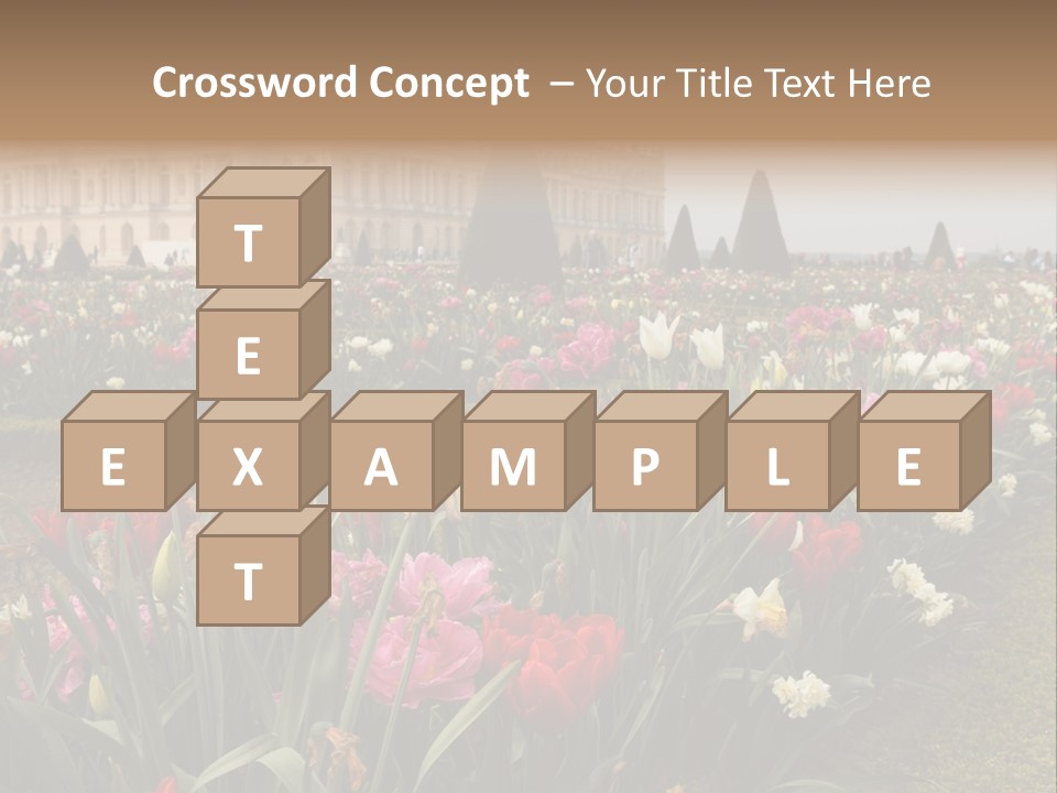 A Field Of Flowers With A Building In The Background PowerPoint Template