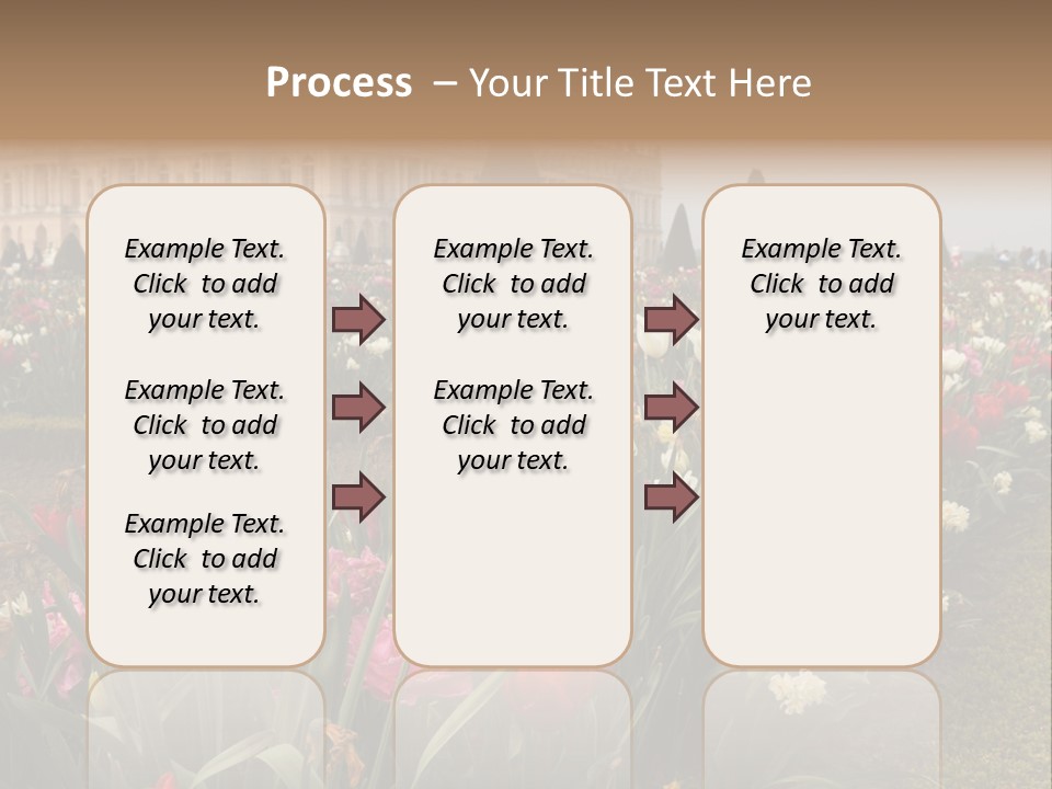 A Field Of Flowers With A Building In The Background PowerPoint Template