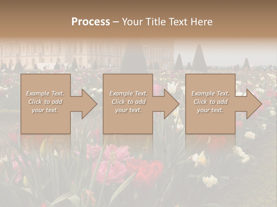 A Field Of Flowers With A Building In The Background PowerPoint Template