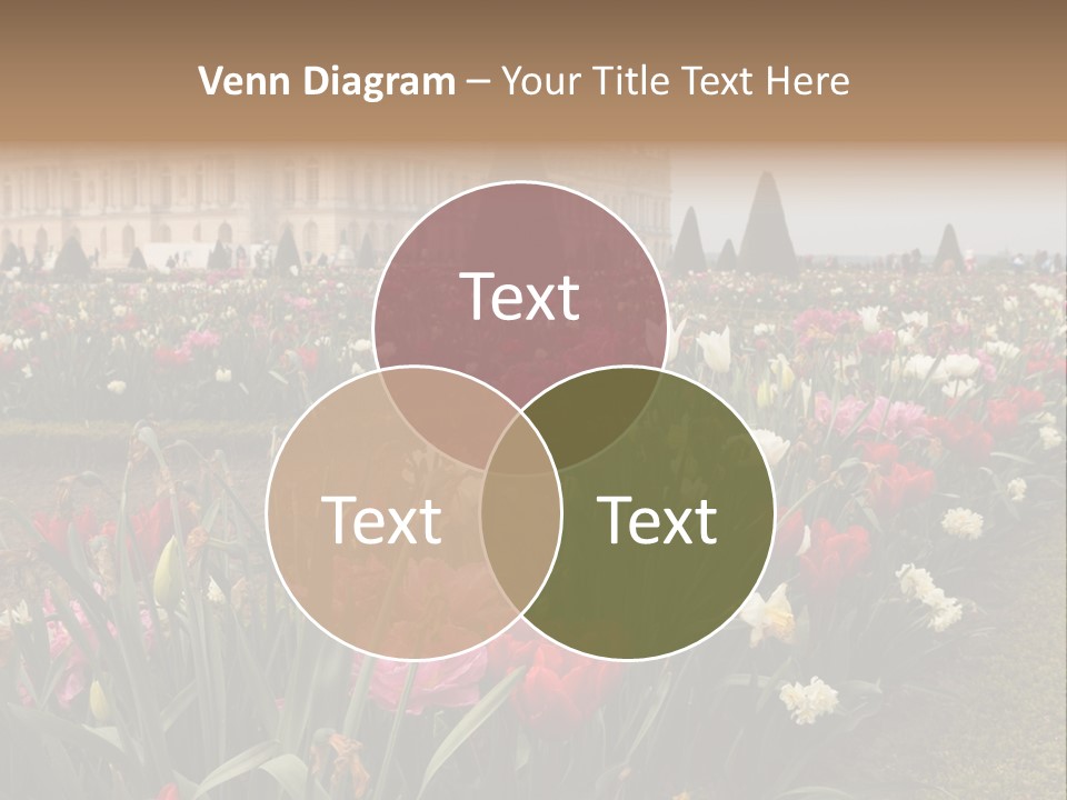 A Field Of Flowers With A Building In The Background PowerPoint Template