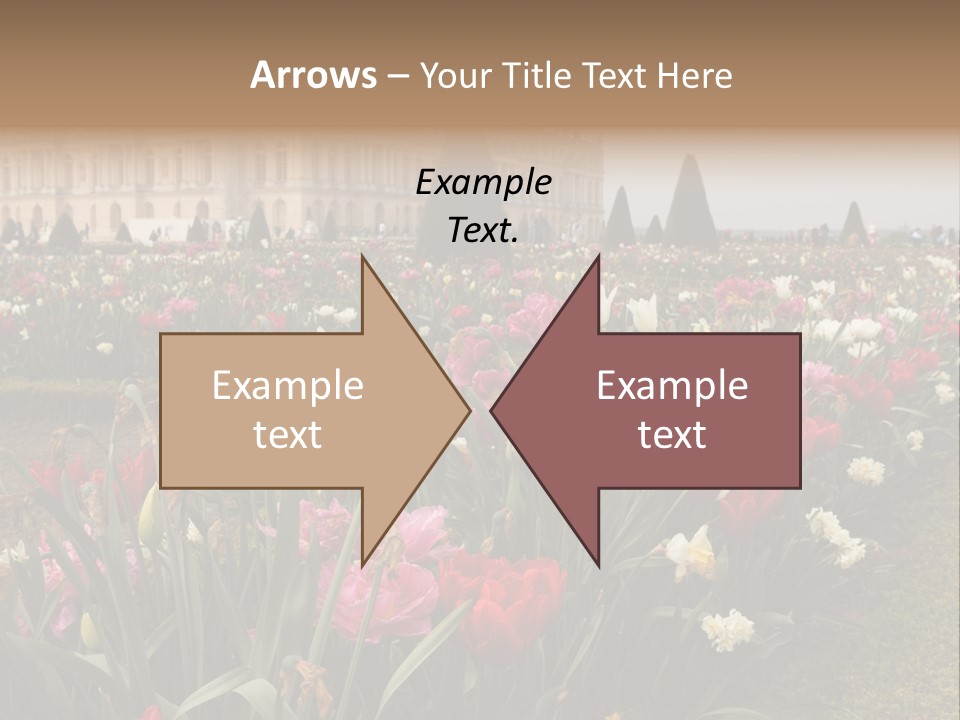 A Field Of Flowers With A Building In The Background PowerPoint Template