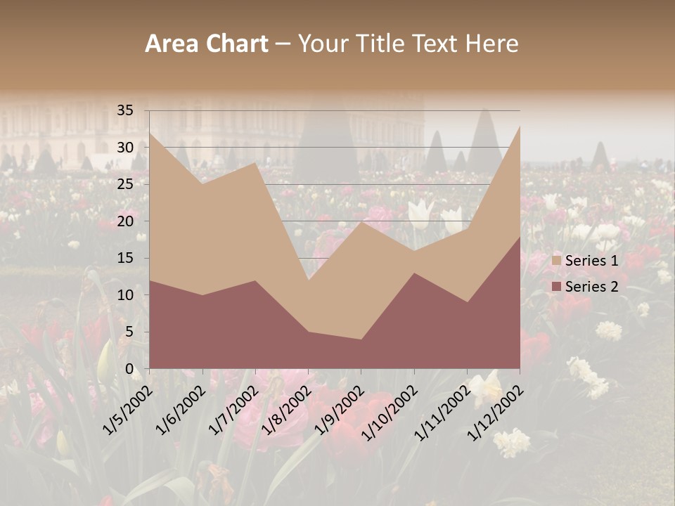 A Field Of Flowers With A Building In The Background PowerPoint Template