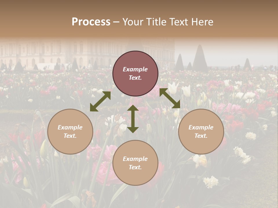 A Field Of Flowers With A Building In The Background PowerPoint Template