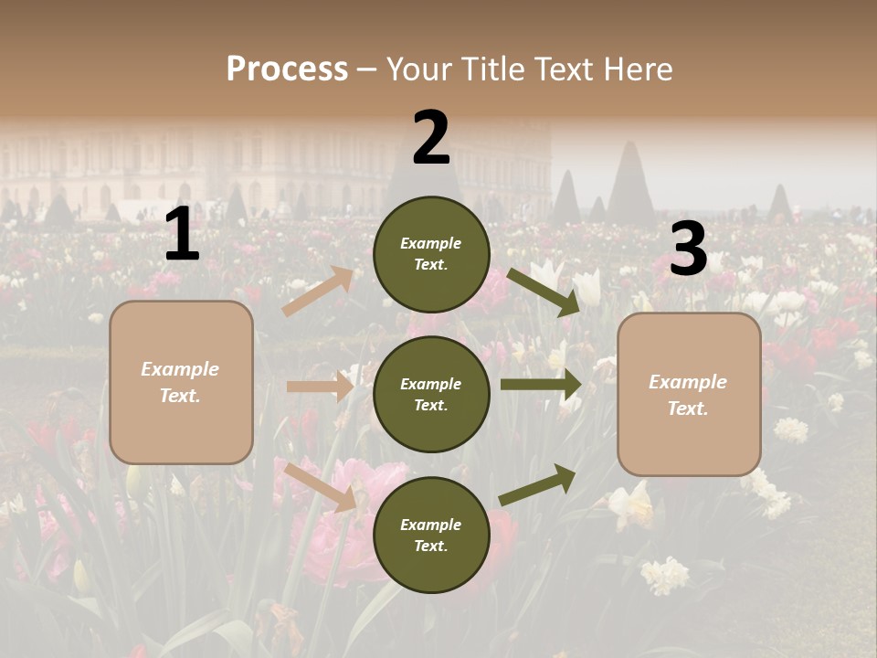 A Field Of Flowers With A Building In The Background PowerPoint Template