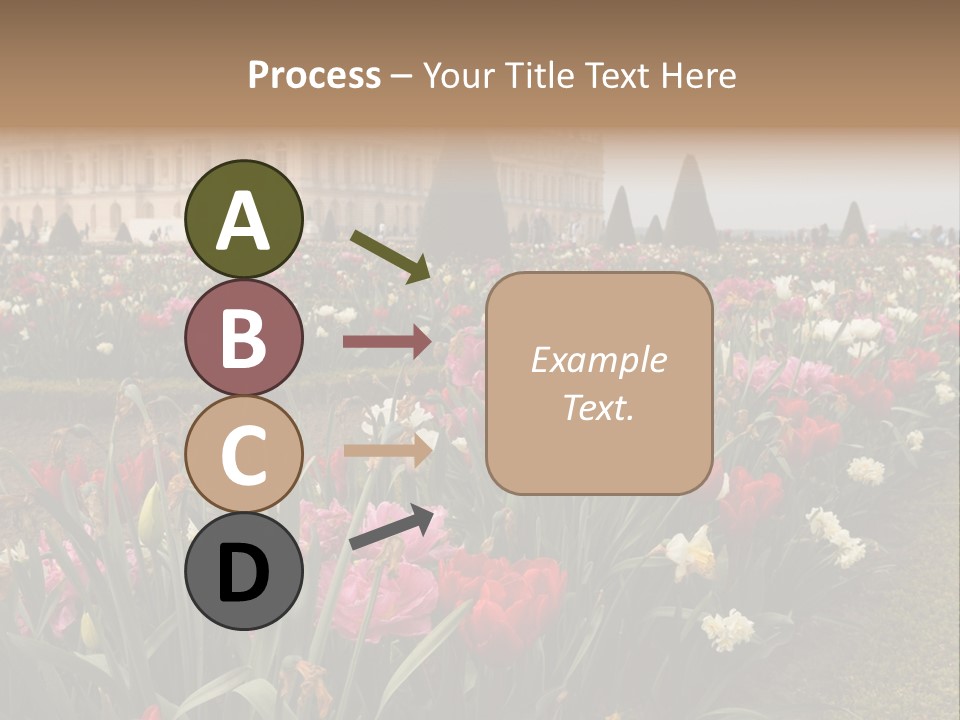 A Field Of Flowers With A Building In The Background PowerPoint Template